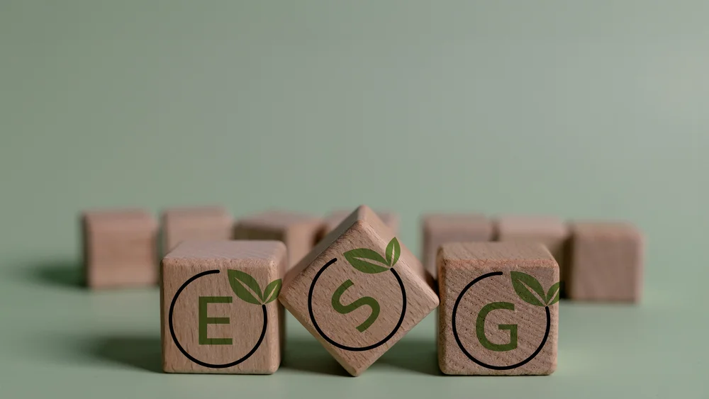 ESG Líderes discutindo políticas ESG